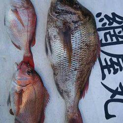 網屋丸 釣果