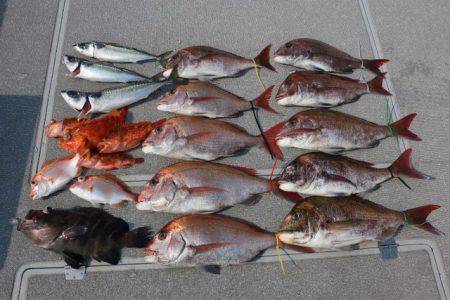 へいみつ丸 釣果