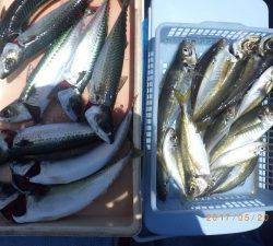 石川丸 釣果