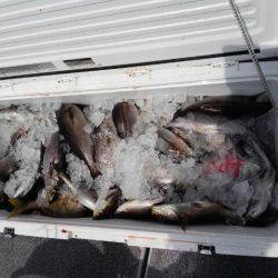 第二大福丸 釣果