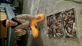 ディープ オーシャン 釣果