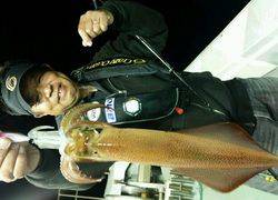 ディープ オーシャン 釣果