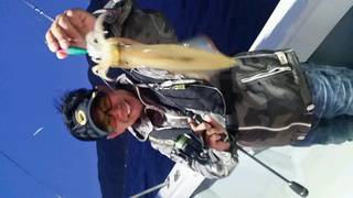 ディープ オーシャン 釣果