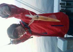 ディープ オーシャン 釣果