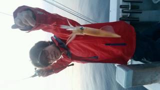 ディープ オーシャン 釣果