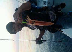 ディープ オーシャン 釣果