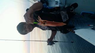 ディープ オーシャン 釣果