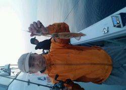 ディープ オーシャン 釣果