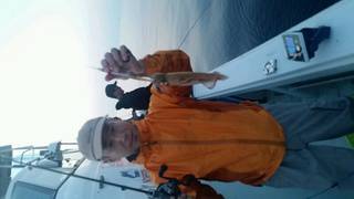 ディープ オーシャン 釣果