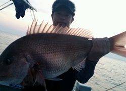 ディープ オーシャン 釣果