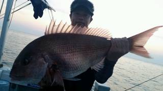 ディープ オーシャン 釣果