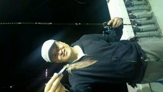 ディープ オーシャン 釣果