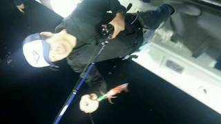 ディープ オーシャン 釣果