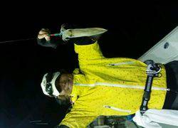 ディープ オーシャン 釣果