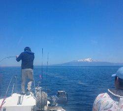 IDATEN(イダテン) 釣果