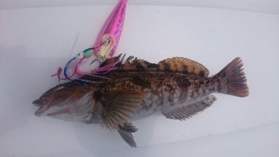 IDATEN(イダテン) 釣果