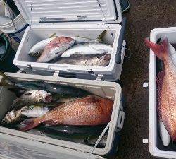 IDATEN(イダテン) 釣果