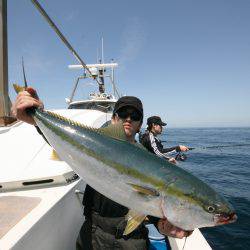 オーシャンズ　京都 釣果