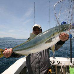 オーシャンズ　京都 釣果
