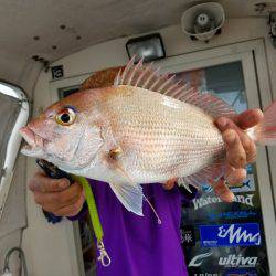 遊漁船　ニライカナイ 釣果