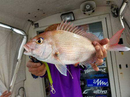 遊漁船　ニライカナイ 釣果