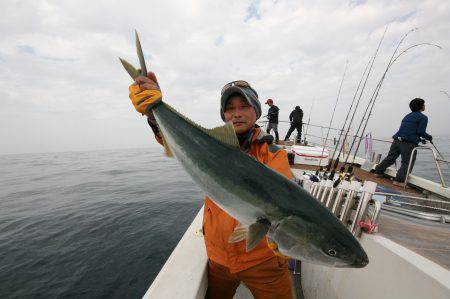 オーシャンズ　京都 釣果