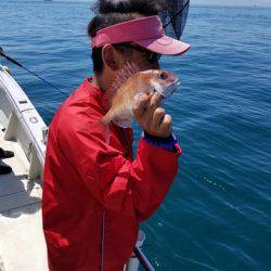 遊漁船 ニライカナイ 釣果