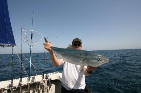 オーシャンズ　京都 釣果