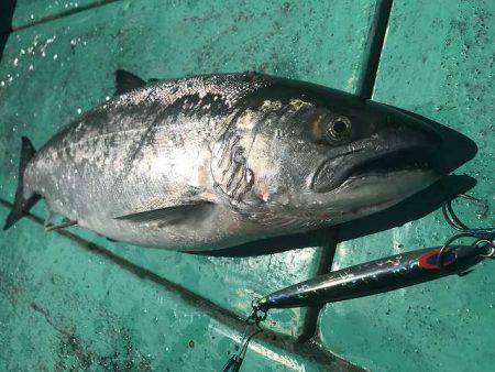 広進丸 釣果
