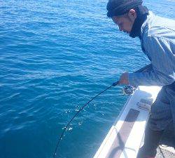 IDATEN（イダテン） 釣果