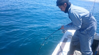 IDATEN（イダテン） 釣果