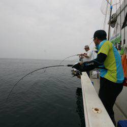 オーシャンズ　京都 釣果