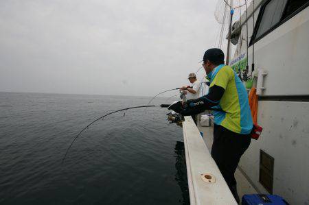オーシャンズ　京都 釣果