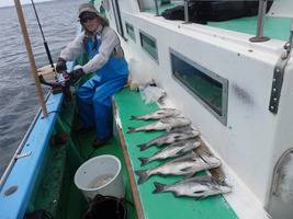 久里浜黒川本家 釣果