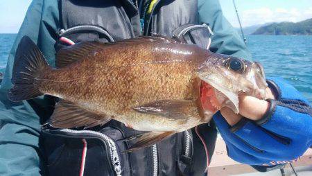 宝昌丸 釣果
