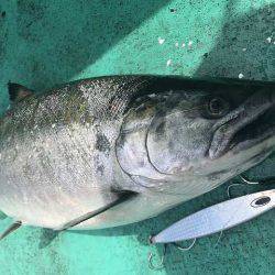 広進丸 釣果