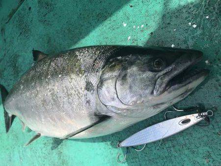 広進丸 釣果