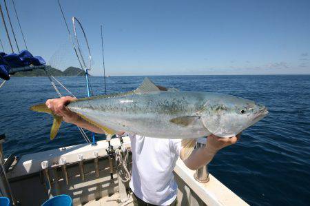 オーシャンズ　京都 釣果
