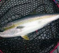 IDATEN(イダテン) 釣果