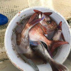 龍宮丸 釣果