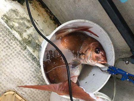 龍宮丸 釣果