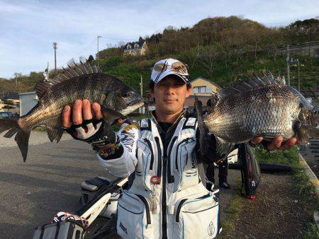 由良渡船 釣果