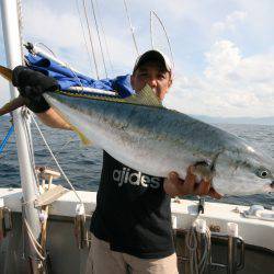 オーシャンズ　京都 釣果