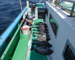 久里浜黒川本家 釣果