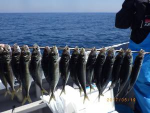 石川丸 釣果