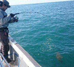 IDATEN(イダテン) 釣果