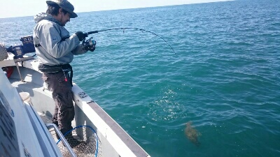 IDATEN(イダテン) 釣果