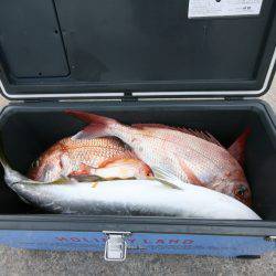 オーシャンズ　京都 釣果