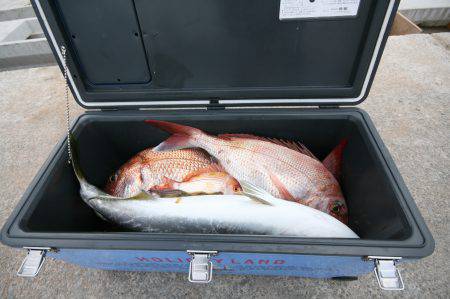 オーシャンズ　京都 釣果