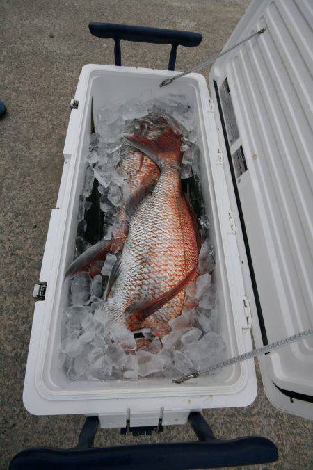 オーシャンズ　京都 釣果